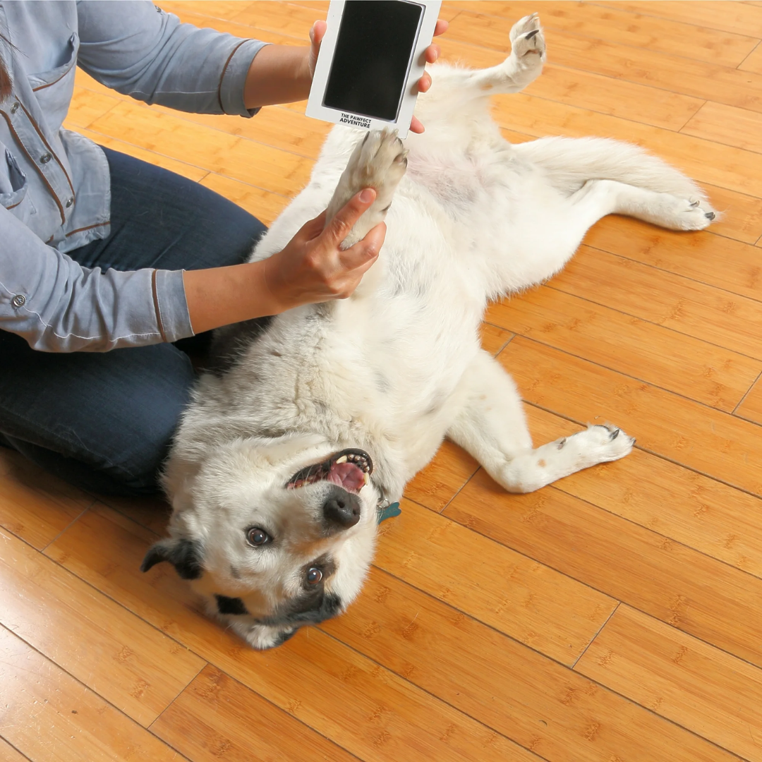 Pawfect Print