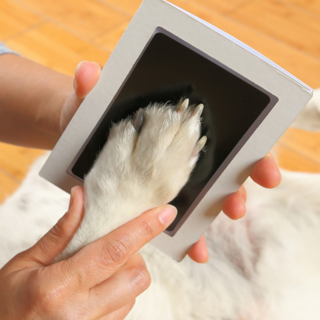 Pawfect Print