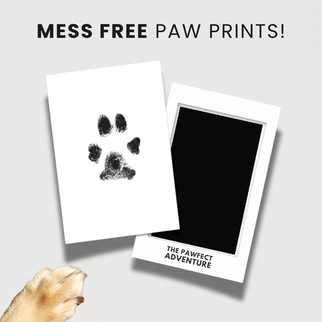Pawfect Print