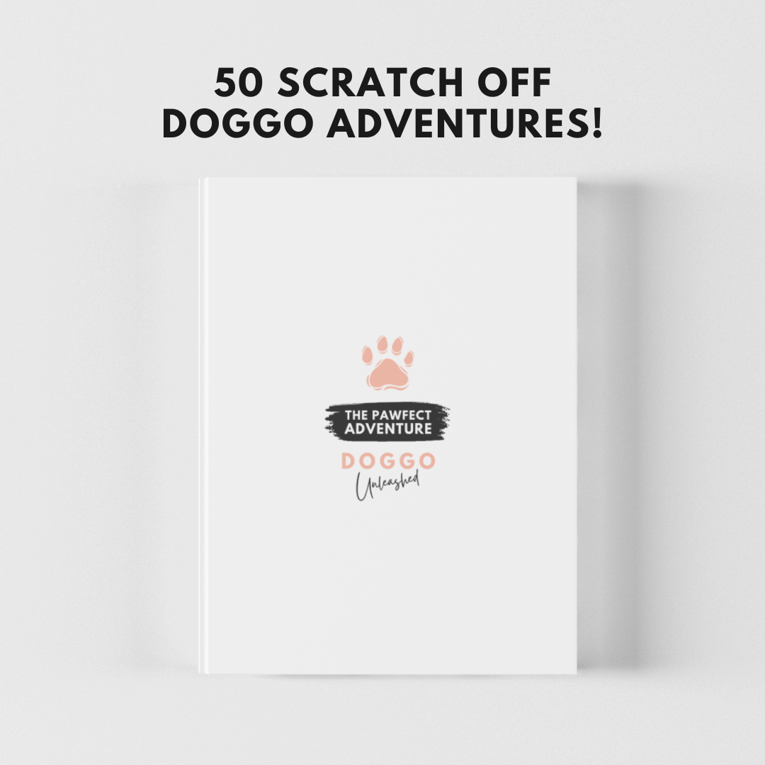 Adventure Starter Pack