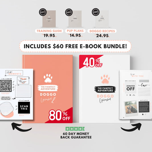 Adventure Starter Pack