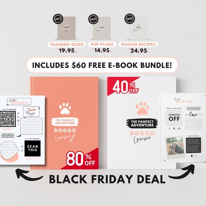 Adventure Starter Pack