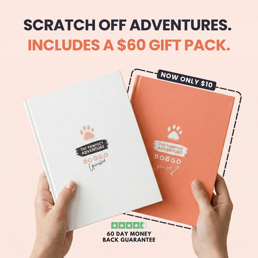 Adventure Bundle
