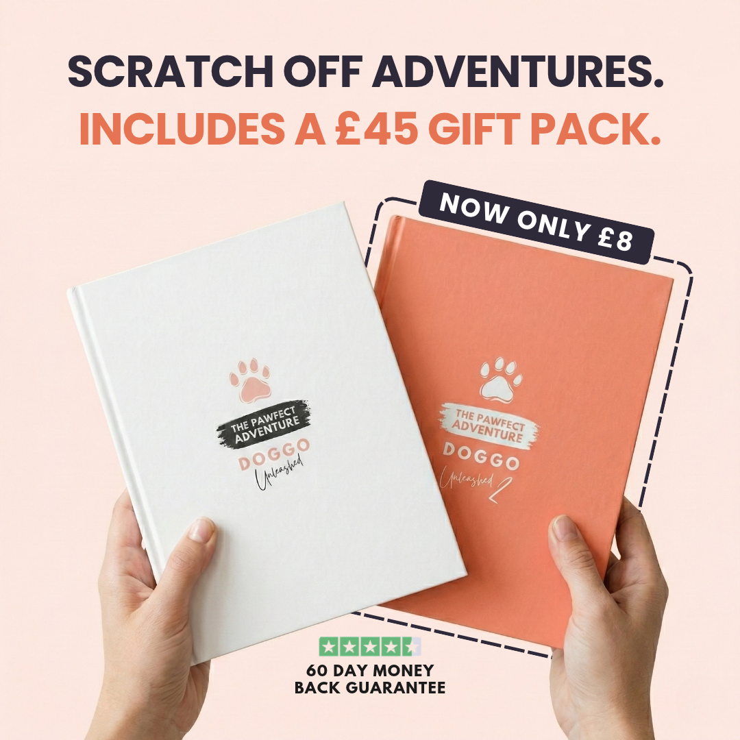 The Adventure Bundle