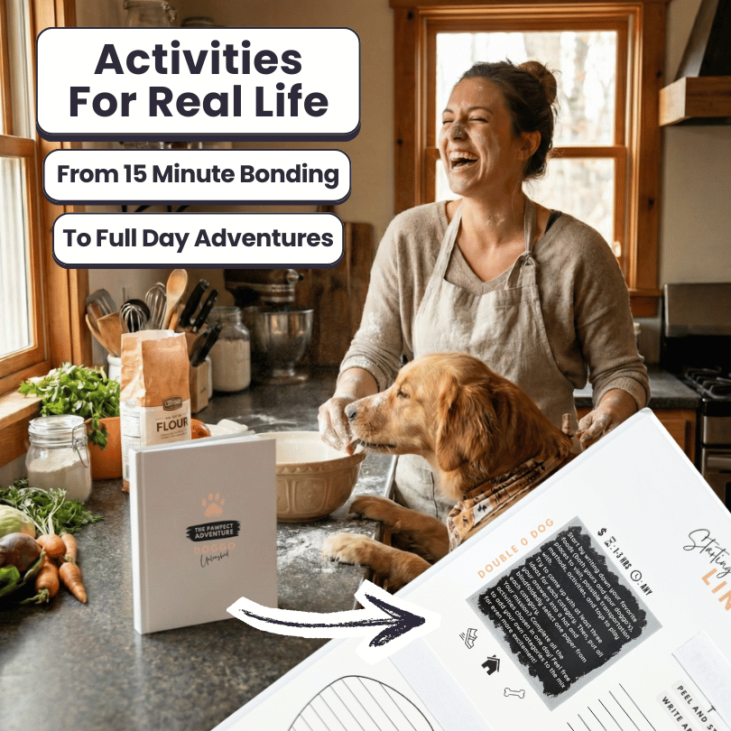 Adventure Bundle
