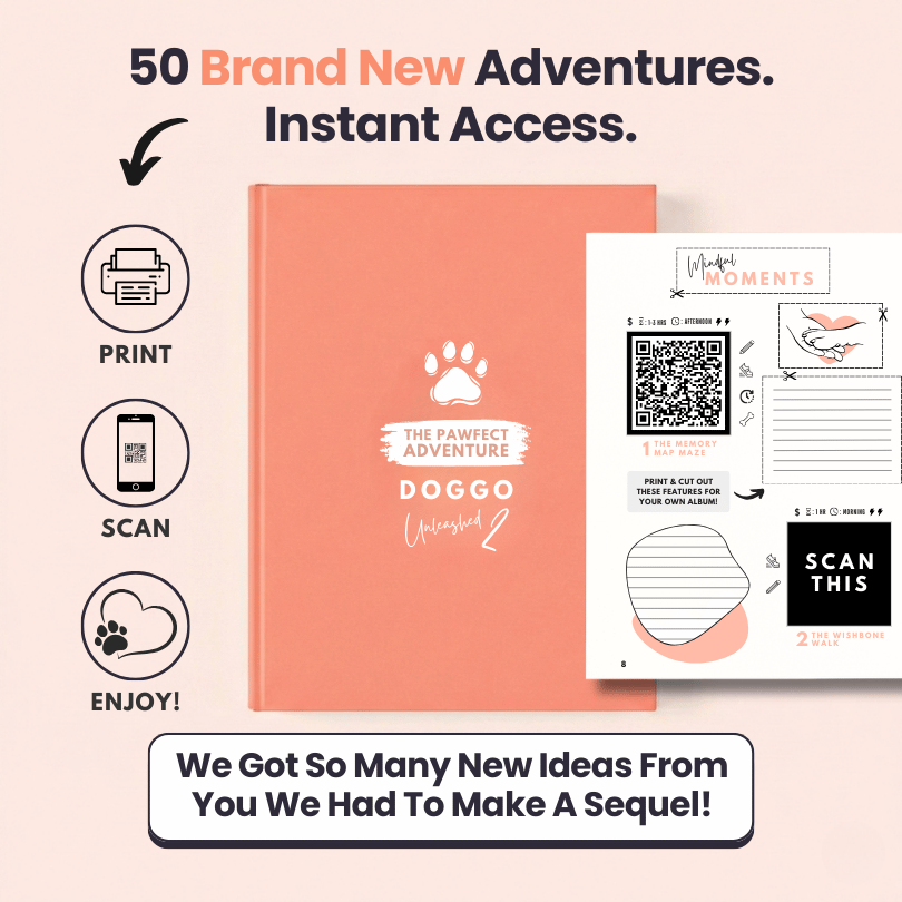 Adventure Bundle