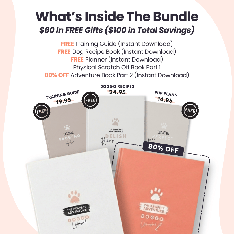 Adventure Bundle