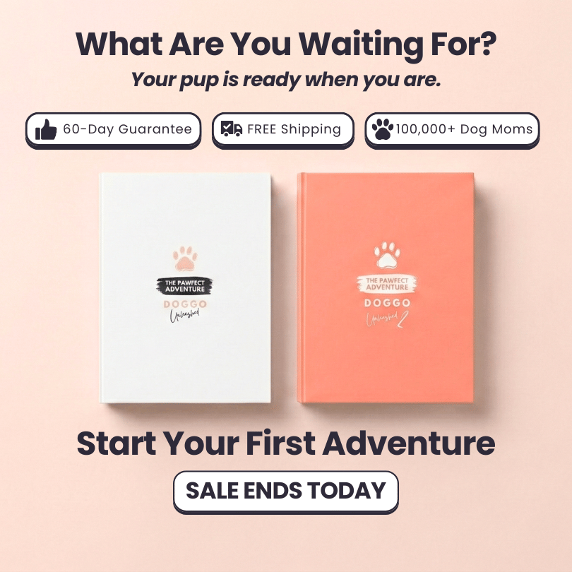 Adventure Bundle